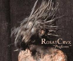 Rosa Crux : Proficere